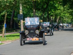 2024-d800-pareldervoorkempen-7984