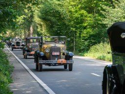 2024-d800-pareldervoorkempen-8153